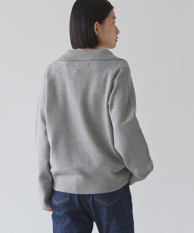 AMERICAN HOLIC バイパチハーフＺＩＰニットプルオーバー Light Gray Mixture