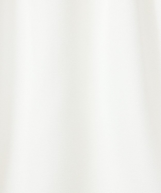 Green Parks ｄａｚｚｌｉｎ　ツイルチュールレイヤードスカート Ivory