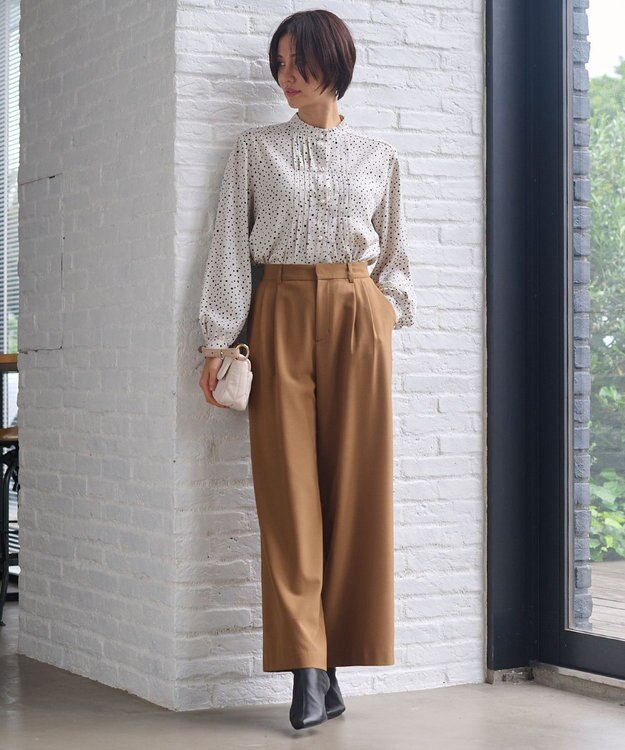 自由区 【洗える】TOROハイネック ブラウス シャンパンドット