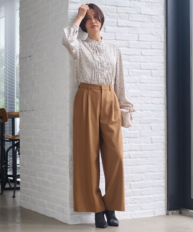 自由区 【洗える】TOROハイネック ブラウス シャンパンドット