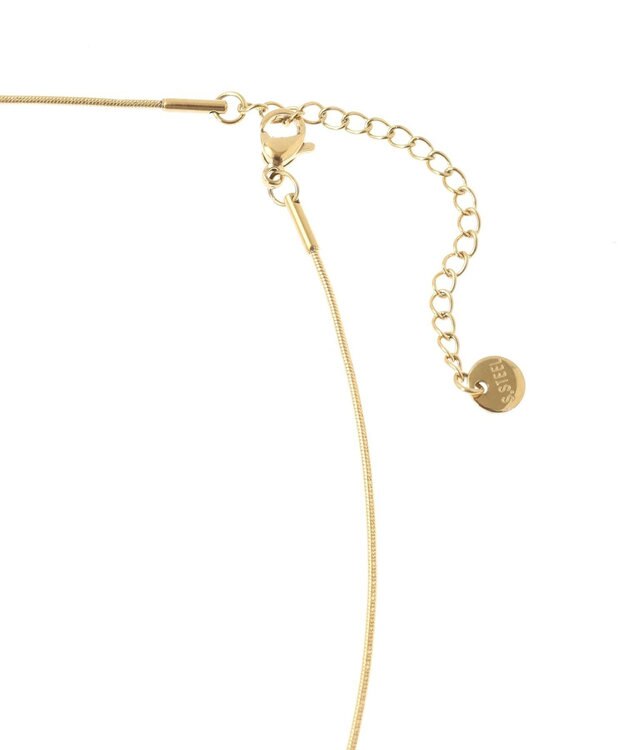Green Parks ｅｖｅｒｙｗａｌｋ．ステンレスモチーフチェーンネックレス Gold