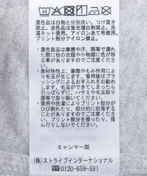 Green Parks フォトプリントボックスＴシャツ Gray Mixture