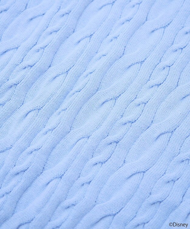 earth music&ecology Ｄｉｓｎｅｙ×Ｓｅｉｊｉ　Ｍａｔｓｕｍｏｔｏ刺繍ニット Sax