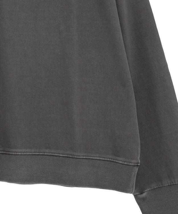 Green Parks ピグメントロゴ刺繍裏毛プルオーバー Charcoal Gray