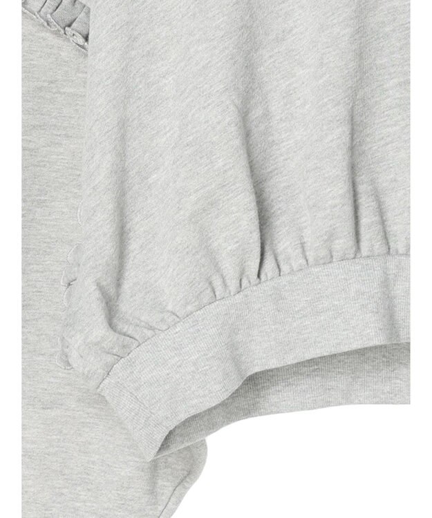 Green Parks ・Ｐｅｔｉｔ　Ｆｌｅｕｒ　ボリュームスリーブスウェット Gray Mixture