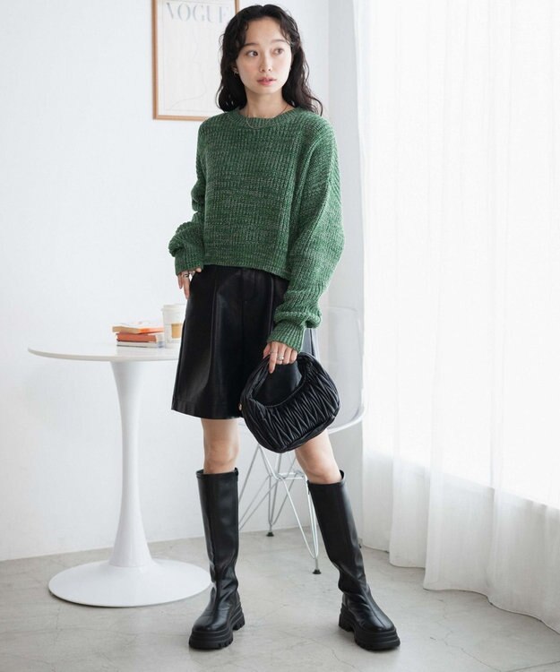 WEGO ミックスカーラーショートニット グリーン