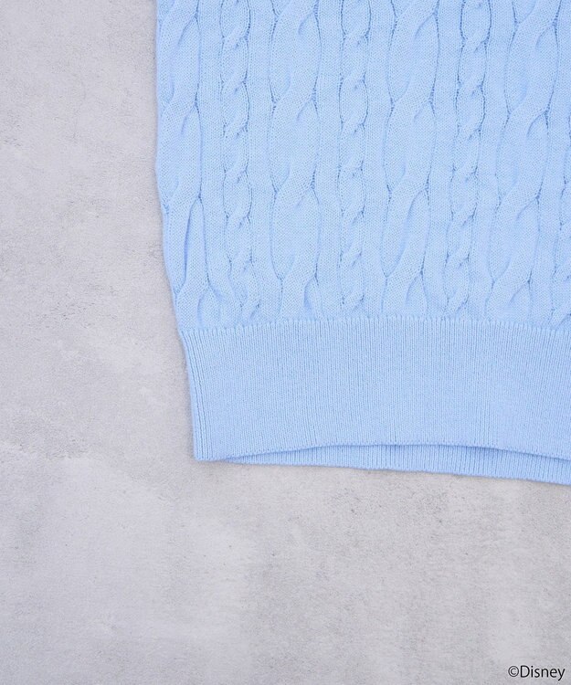 earth music&ecology Ｄｉｓｎｅｙ×Ｓｅｉｊｉ　Ｍａｔｓｕｍｏｔｏ刺繍ニット Sax