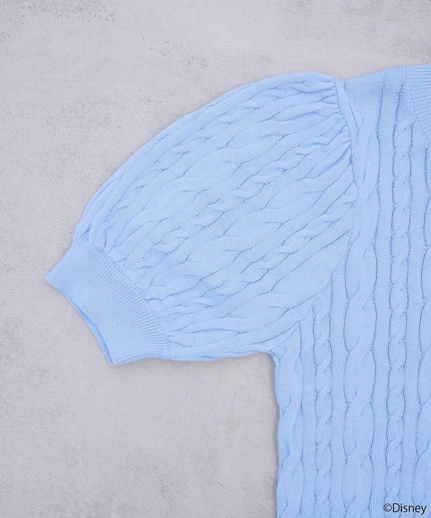 earth music&ecology Ｄｉｓｎｅｙ×Ｓｅｉｊｉ　Ｍａｔｓｕｍｏｔｏ刺繍ニット Sax