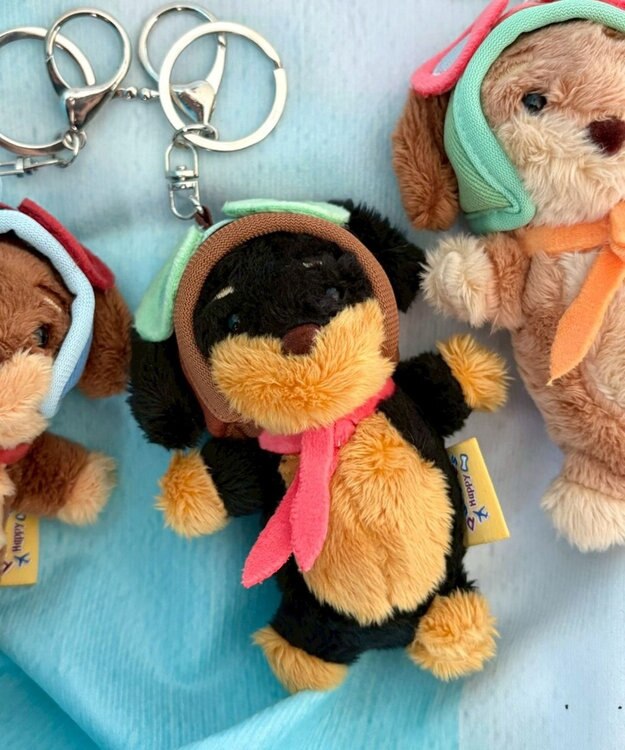 WEGO ぴぽぴぽパイロットドッグキーホルダー 柄2