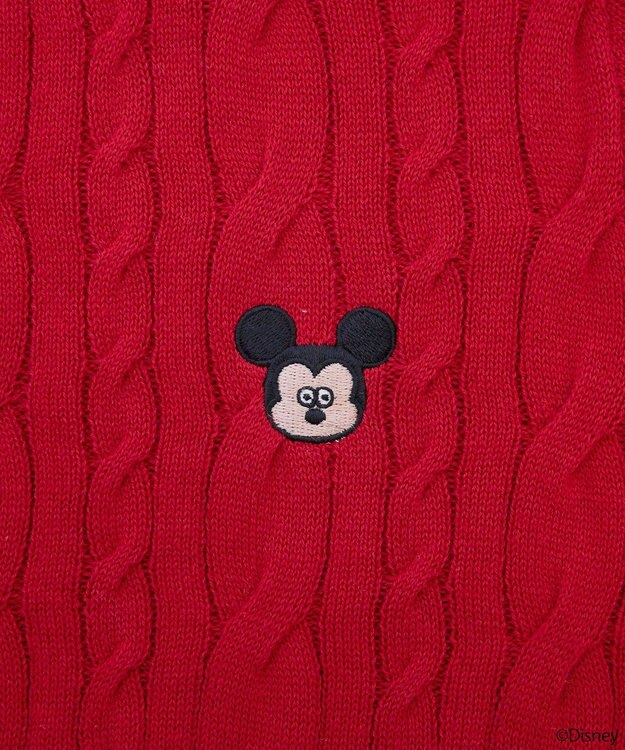 earth music&ecology Ｄｉｓｎｅｙ×Ｓｅｉｊｉ　Ｍａｔｓｕｍｏｔｏ刺繍ニット Red