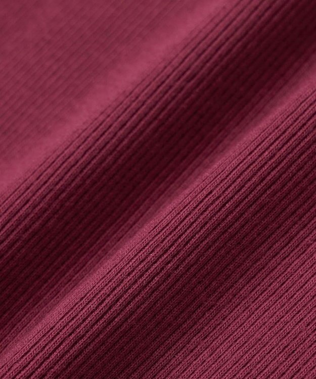 Green Parks ・ＳＵＧＡＲ　ＳＰＯＯＮ　レイヤードライクリブロンＴＥＥ Bordeaux