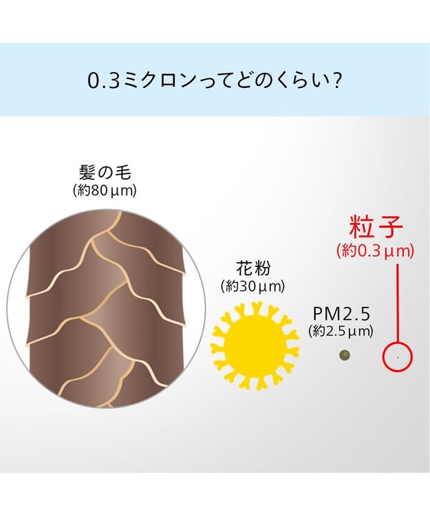 YAMATO テーブル＆キッチン 【TWINBIRD】HEPAフィルター空気清浄機  メタリックベージュ  AC-5943VO ベージュ