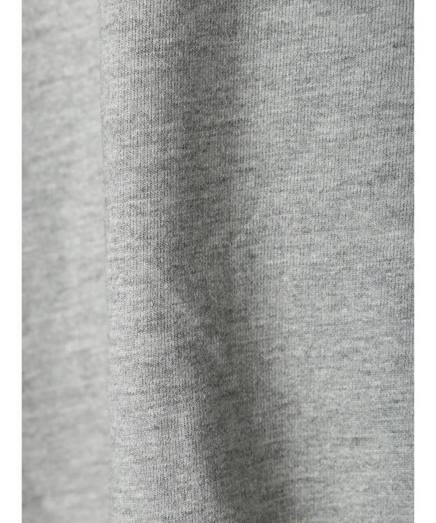 AMERICAN HOLIC 袖異素材ミニ裏毛プルオーバー Light Gray Mixture