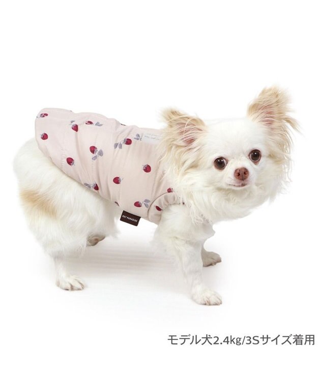 PET PARADISE ペットパラダイス 遠赤外線 背中開き 綿入りベスト 《いちご》 超小型犬 小型犬 ホワイト