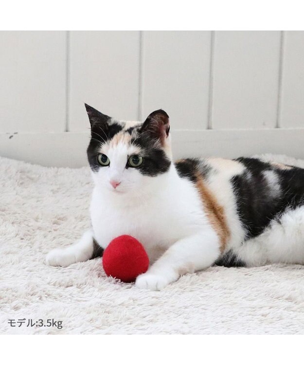PET PARADISE ペットパラダイス 猫 羊毛 ボール 【単品】 レッド