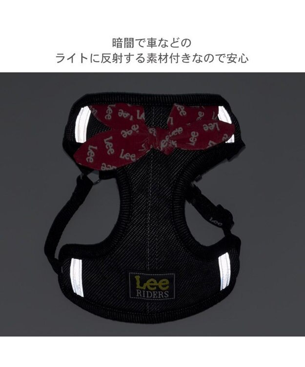 PET PARADISE Lee ループノット ハーネス＆リード 小型犬 ＳＳ ブラック