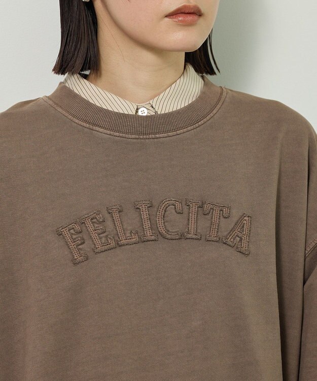 Green Parks ピグメントロゴ刺繍裏毛プルオーバー Brown