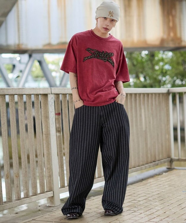 WEGO 【ユニセックス着用ITEM//MLサイズ展開】接触冷感グラフィックBIG　T（SS） レッドその他