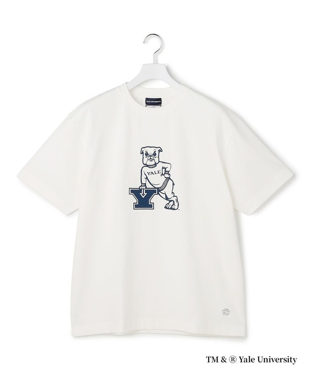 J.PRESS YORK STREET 【YALE別注】【UNISEX】ブルドッグ プリント Tシャツ ホワイト系