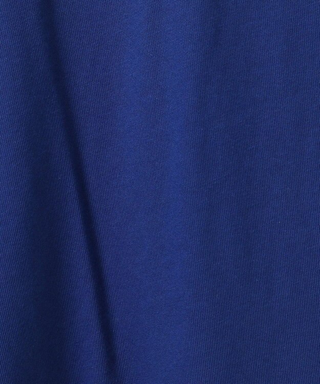 AMERICAN HOLIC ドルマンギャザースリーブカットプルオーバー Blue