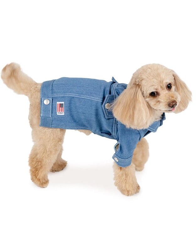 PET PARADISE J.PRESS デニムジャケット 春 小型犬 ライトインディゴブルー