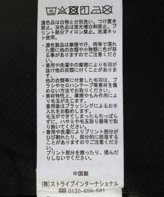 Green Parks １０ｔｈベイマックス／ポスタープルオーバー Black