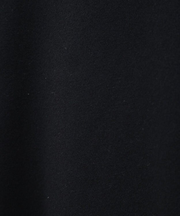 Green Parks １０ｔｈベイマックス／ポスタープルオーバー Black