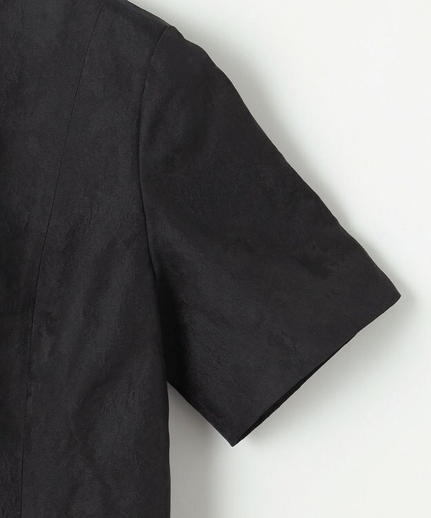 23区 S 【APPLAUDIR】シャドーフラワージャカード ドレス ブラック系