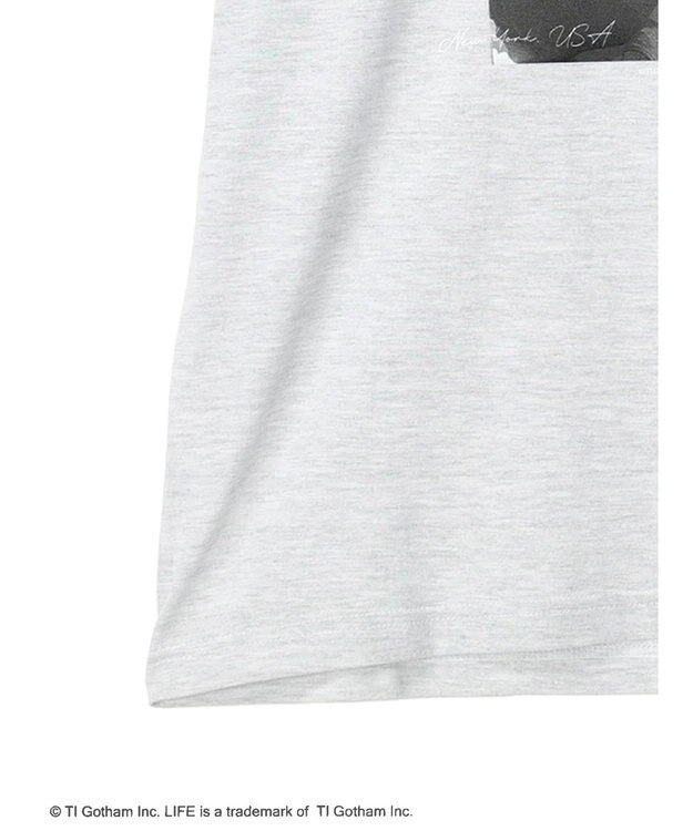 Green Parks ＬＩＦＥ　フォトロゴＴシャツ Gray Mixture
