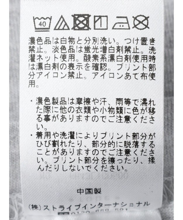 Green Parks ＬＩＦＥ　フォトロゴＴシャツ Gray Mixture