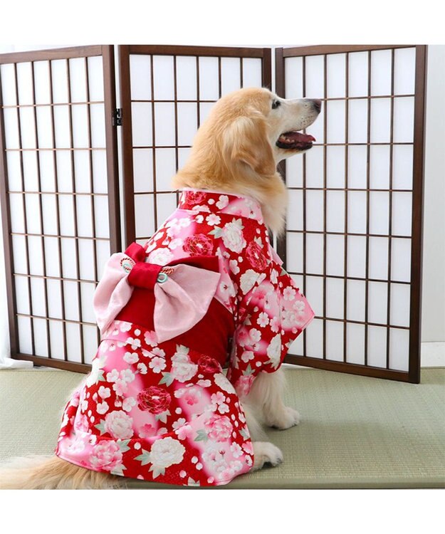 PET PARADISE ペットパラダイス 着物 《 牡丹桜柄 》 中型犬 大型犬 赤