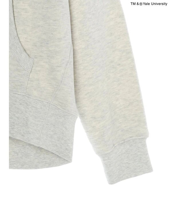 AMERICAN HOLIC ＴＭ＆ＲＹａｌｅ　Ｕｎｉｖｅｒｓｉｔｙ　スウェットパーカー Oatmeal