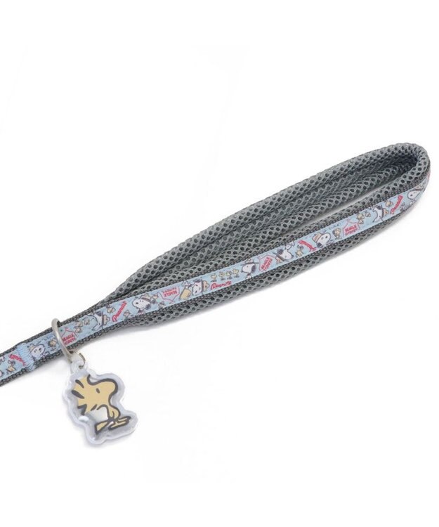 PET PARADISE スヌーピー リード 《ビーグルスカウト》 ＳＳ~Ｓ 小型犬 ビーグルスカウト