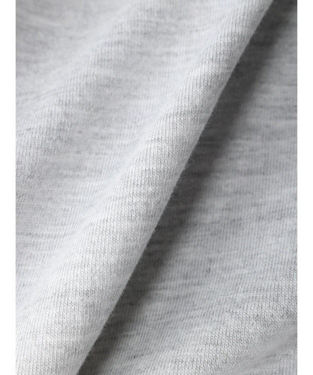 Green Parks ＬＩＦＥ　フォトロゴＴシャツ Gray Mixture