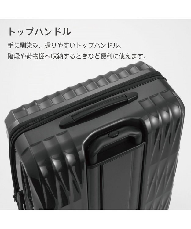 ACE BAGS & LUGGAGE Proteca トリアクシス3 スーツケース 72L 02493 プロテカ ガンメタリック