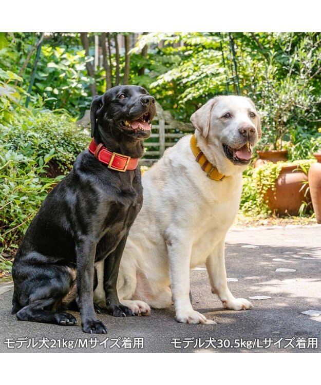 PET PARADISE ペットパラダイス ソフトレザー首輪 《ブルックレッド》 Ｍ ブルックレッド