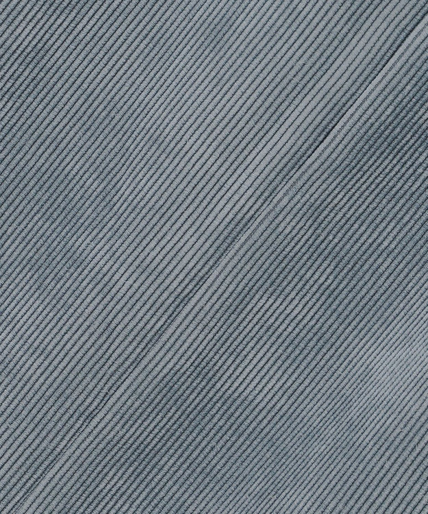 自由区 L 【17号サイズまで展開・SHIHOさん着用】ソフトコーデュロイ スカート ダルブルー