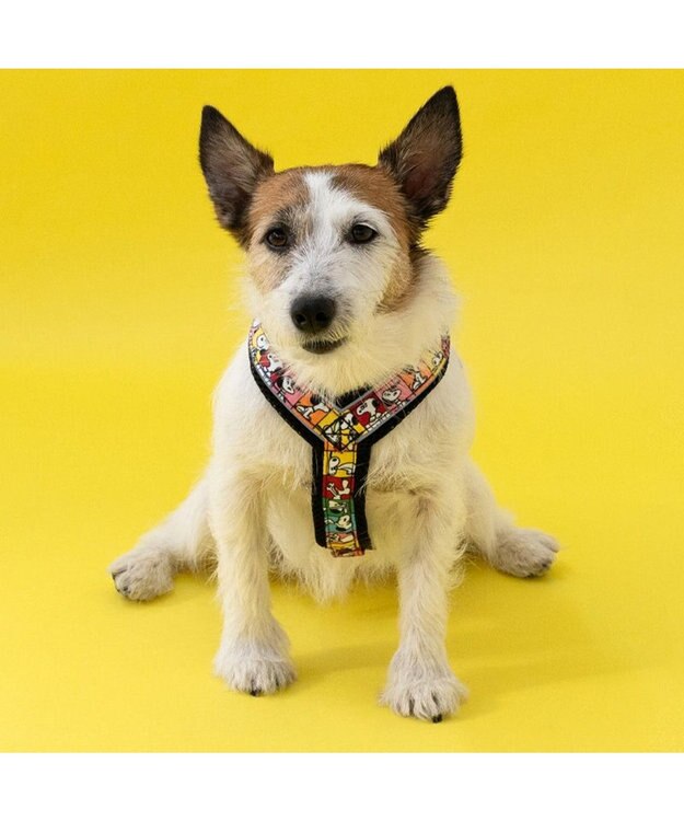PET PARADISE スヌーピー 75周年 アクティブ ハーネス 小型犬 SS 75周年柄