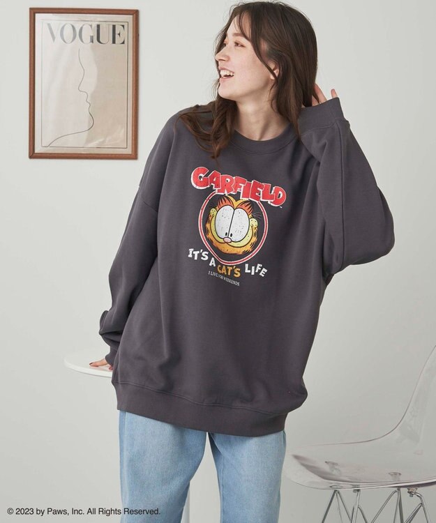 WEGO 【ユニセックス着用ITEM】別注GARFIELDプルオーバー 柄2