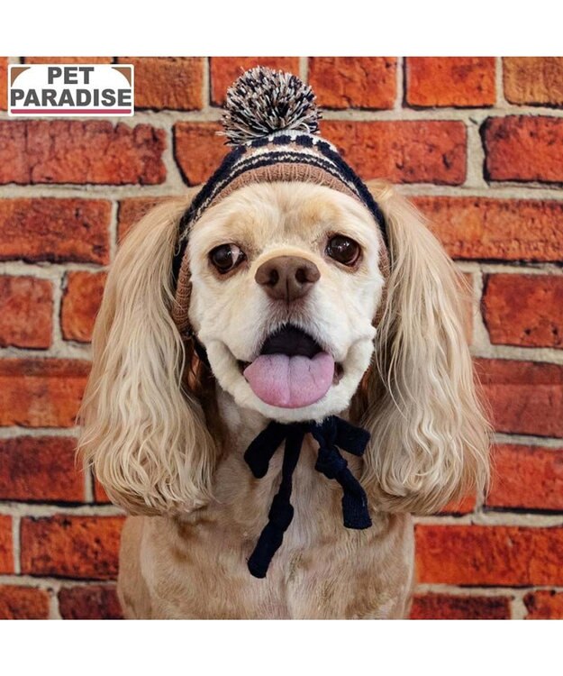 PET PARADISE ペットパラダイス ボンボン付き 男の子 ニット 帽子 中型犬 ＳＭ～Ｍ マルチカラー