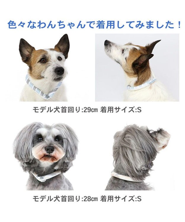 PET PARADISE クールリング 犬 クールネック ひんやり 28℃クールリング 【Ｓ】 リフレクター 水色 ベージュ  反射材付き 水色 Ｓ