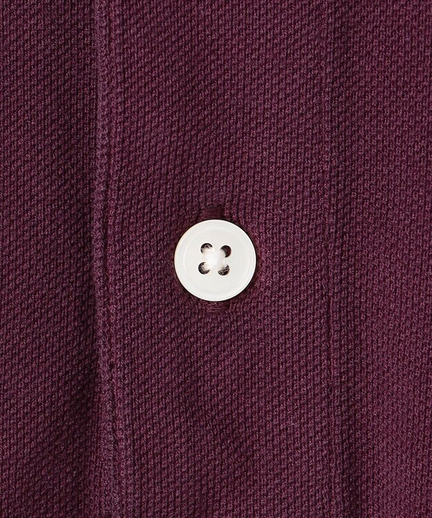 J.PRESS MEN コットンカノコオーバーダイ ポロシャツ パープル系