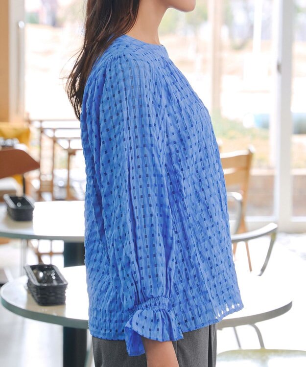 Tiaclasse シアーチェックブラウス ブルー