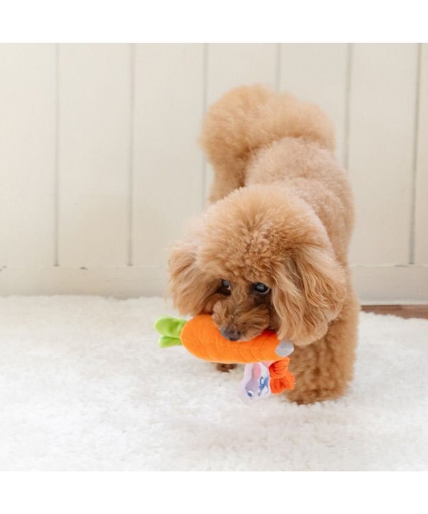 PET PARADISE ディズニー ズートピア にんじんペン トイ オレンジ
