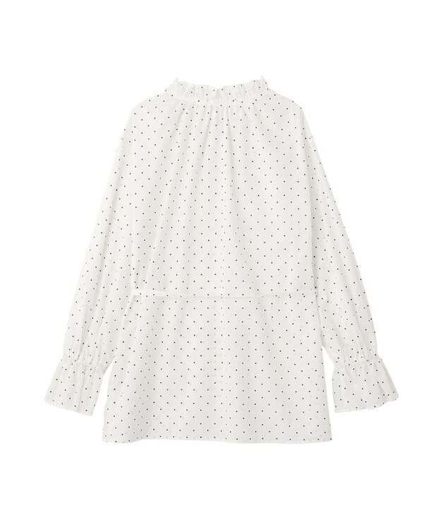 earth music&ecology 【イージーケア】TRキュプラダブルボタンフリルシャツ Dot