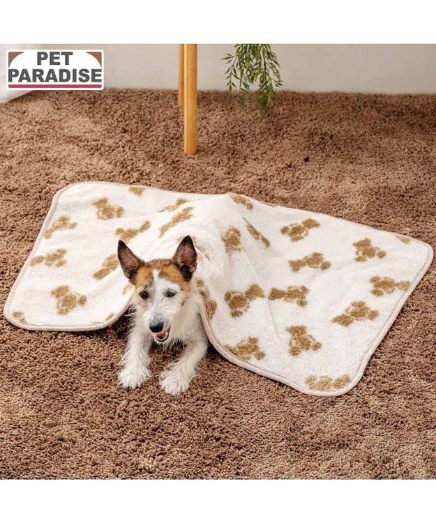 PET PARADISE ペットパラダイス くまちゃん織り ボア ブランケット ホワイト×ブラウン