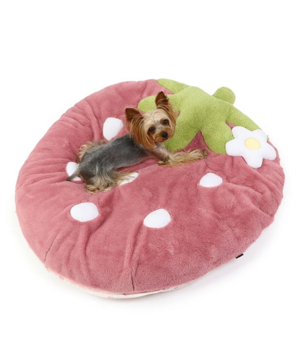 PET PARADISE ネット店限定 ペットパラダイス くすみ苺 クッション L ピンク