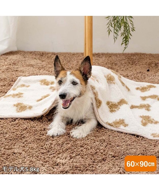 PET PARADISE ペットパラダイス くまちゃん織り ボア ブランケット ホワイト×ブラウン