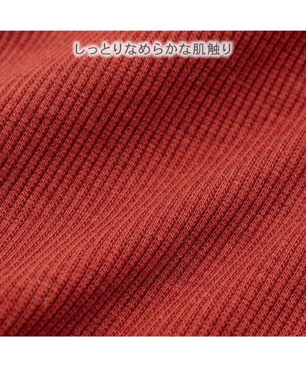 PET PARADISE ペットパラダイス プレミアム ぺティヒート スキッパーＴシャツ 中型犬 大型犬 レッド