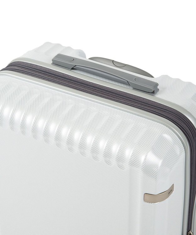 ACE BAGS & LUGGAGE ace. パリセイドZd Lサイズ 88～103L 06817 エース ホワイトカーボン